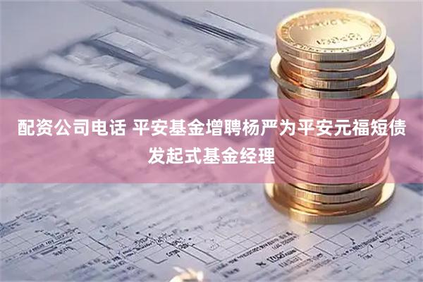 配资公司电话 平安基金增聘杨严为平安元福短债发起式基金经理